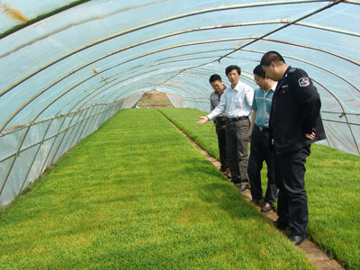 ������ʡ�ʼ�ּ���鵽�����м��ũҵ��׼������