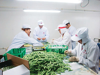 �𶹳����ü���ũ��������ͷ