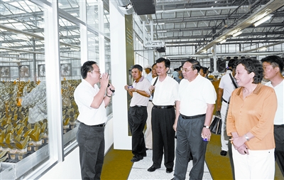 ��������̨��ó����������̳����