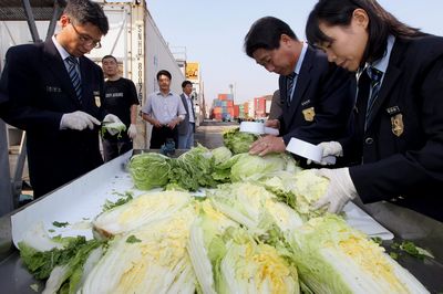 �й��ײ˻��⺫�����ݲ�Σ����