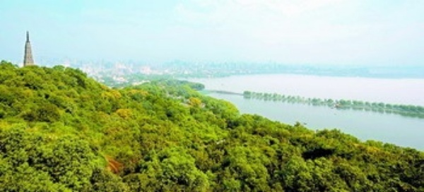 ������:��ʵ�ƽ����ͳ��л�����ٽ�����Э��