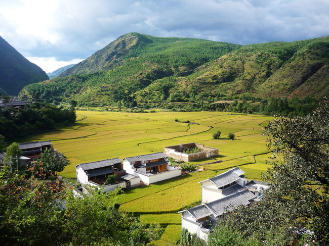 大理地区有人类活动历史推至一万年前_滚动新