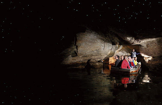 新西兰蒂安娜萤火虫洞:探索神秘的萤火虫世界