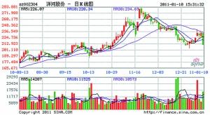 洋河股份上市以来首次跌停_焦点透视