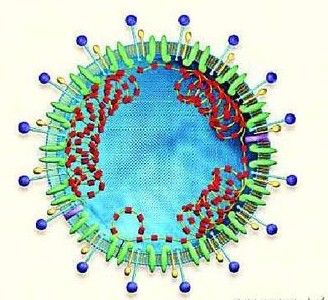 世卫组织发现类SARS新病毒 6个股有机会(附股