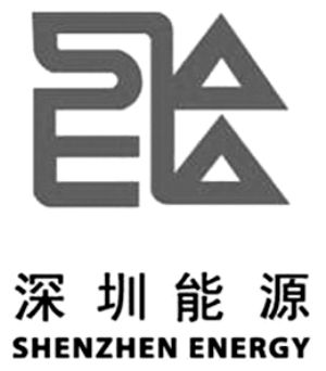 深圳能源集团股份有限公司定向增发吸收合并深