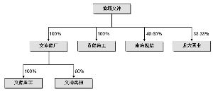 广州广船国际股份有限公司发行A股股份及支付