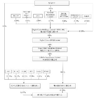 深圳市深信泰丰(集团)股份有限公司公告(系列)