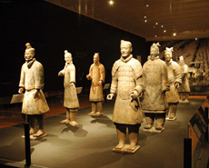 为什么博物馆内禁止使用闪光灯