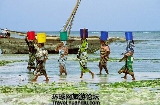震撼!世界上最香的岛在非洲(组图)