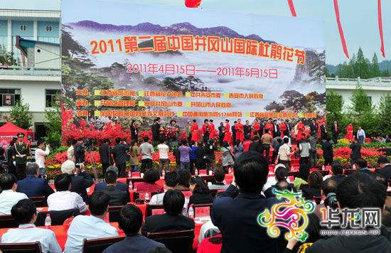 第二届中国井冈山国际杜鹃花节开幕(图)