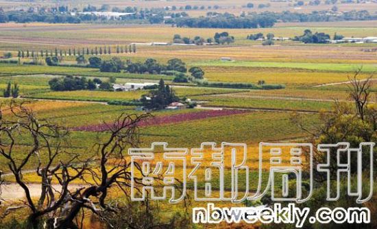 阿德莱德:躺在地面呼吸(组图)