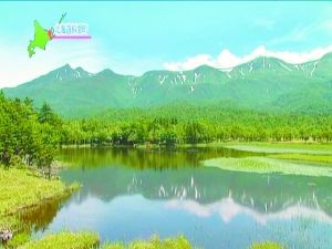 日本北海道:逐鹿探靓境(组图)