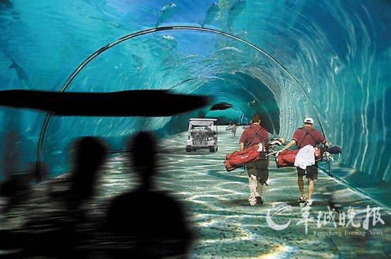 马尔代夫即将建成奇妙的漂浮高尔夫球场(组图)