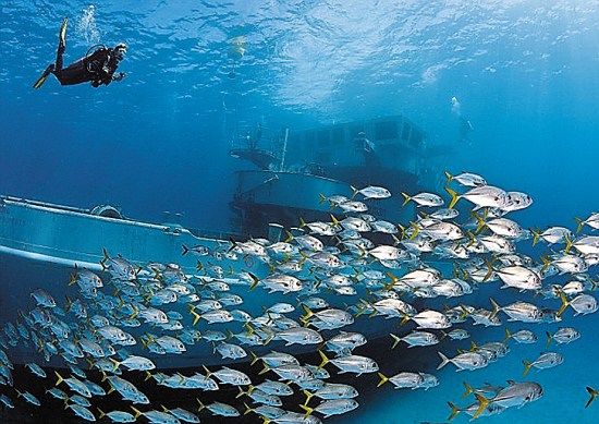 世界各地“沉船墓地”探秘(组图)