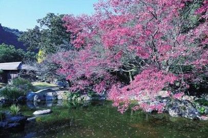 仙岩园,大海火山为背景 九州:山在那边 海在这边(组图)