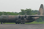 ӡվC-130H