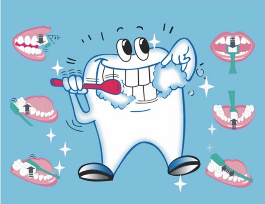 2010年爱牙护齿专题_爱牙护齿_新浪健康频道