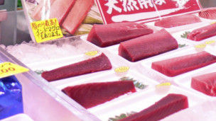报告称受福岛核泄漏污染海产品无损健康可食