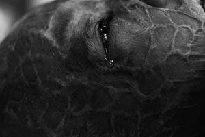 �𽱣�����Ůͯ������