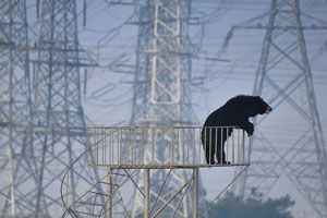 �𽱣�����������