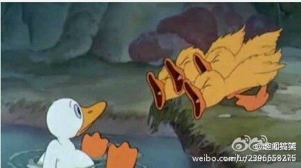 丑小鸭为什么能够变成白天鹅