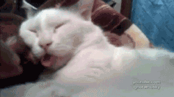 ˯���е�������( _ )