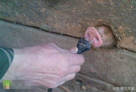 ���Բۣ��ⲻ�ǲ���ѽ