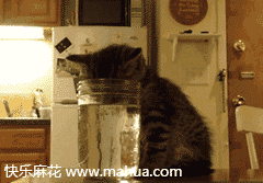 ���ź���ˮ˯�ŵ�������