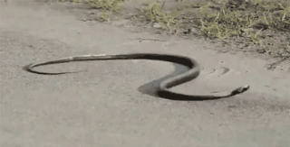 ��������߾����ˡ�