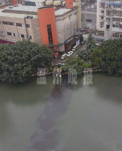 照片来自网友