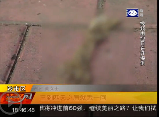 视频截图 视频截图