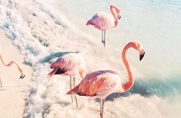 Follow流行色 2018去这些旅行地打卡