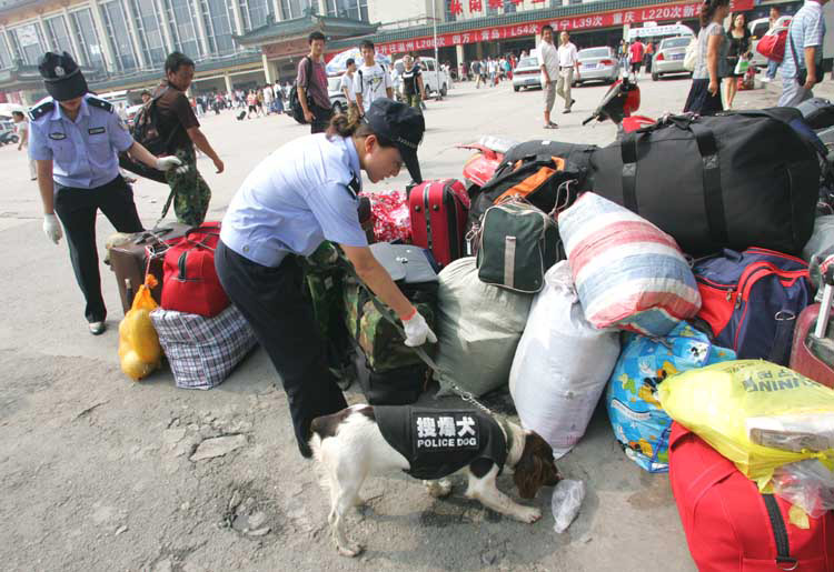 图文:搜爆犬在西安火车站搜寻爆炸物