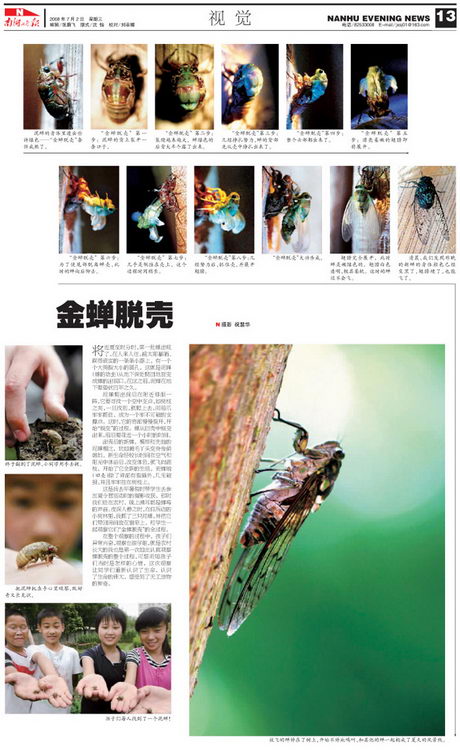 图文:南湖晚报精彩版面2