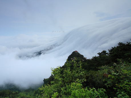 上海天气预报_上海天气预报10天查询_新浪天气