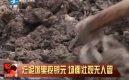 ��Ƶ��ʵ�Ĵ������������������Ԫ