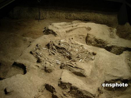 �Ͼ�����ɱ������·���19���������ź�(ͼ)