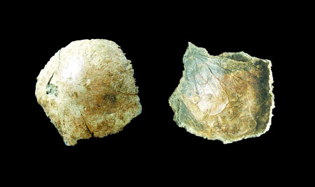 河南发现8万年前古人类头盖骨化石(组图)