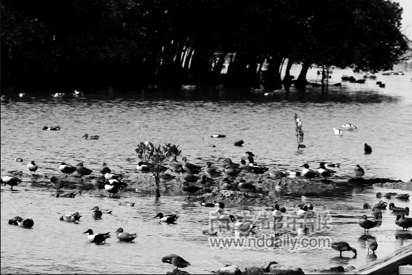 和城市零距离_新闻中心_新浪网