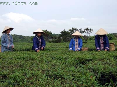 蓝姓人口_中国人口最多的300个姓氏,90%的人都在其中(2)