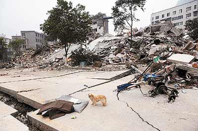 记者目击震后北川：一座没有人的城市