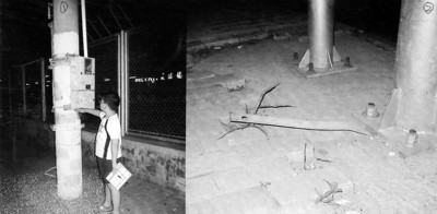 5000ѧ���������¼��ȫ����