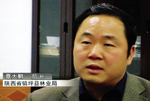 网上“挺虎派”,现在咋样了?