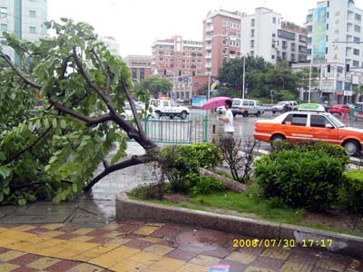 泉州四地昨刮起12级狂风