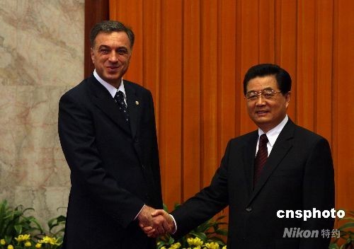 胡锦涛会见黑山巴西等五国领导人(图)
