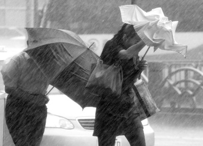 超强台风蔷薇让沿海警报迭起