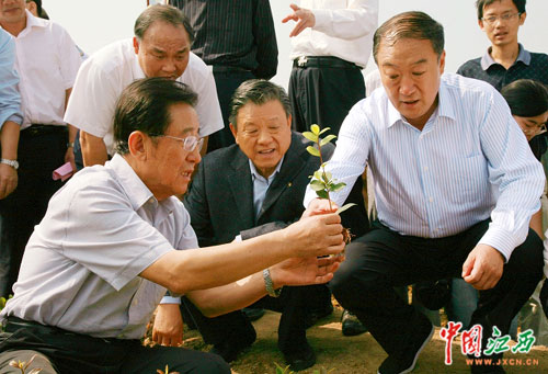 贾治邦在赣考察高产油茶产业 苏荣陪同(图)