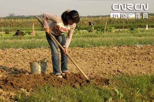 广西百色 农事村办服务站全心为农民服务