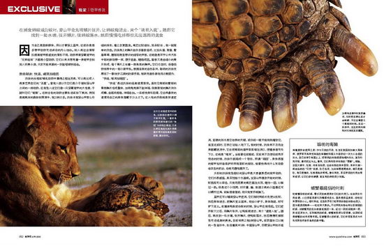 新锐媒体视觉联盟杂志类-新探索